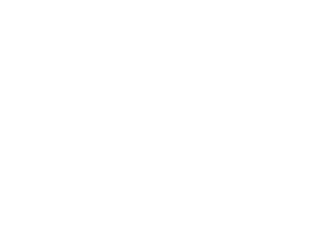 pyrex_logo_register_white_rgb